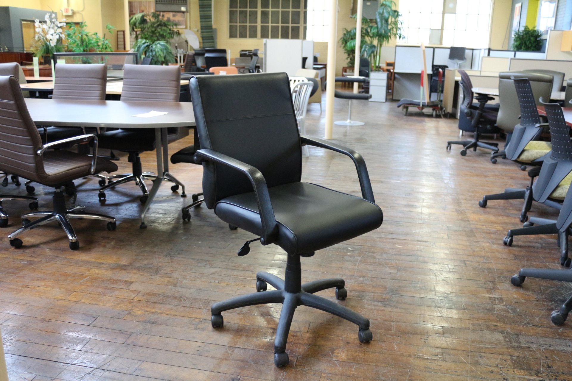 The Mischief New Executive Desk Chair