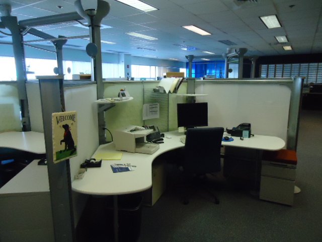peartreeofficefurniture_peartreeofficefurniture_dsc02232.jpg